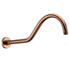 BRAZO DE PARED P/DUCHA CLASSIC 380MM RG [1050030231584-RG]