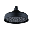 DUCHA CLASSIC S/BRAZO 210MM PBR [1050030020849-PBR]
