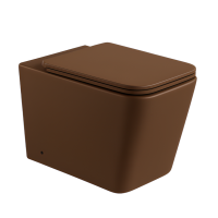 INODORO SEM CAJA BROWN