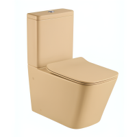 INODORO CON CAJA CHAMPAGNE