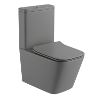 INODORO COM CAJA GRIS