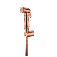 DUCHA HIGIENICA DE PARED 50030131684RG